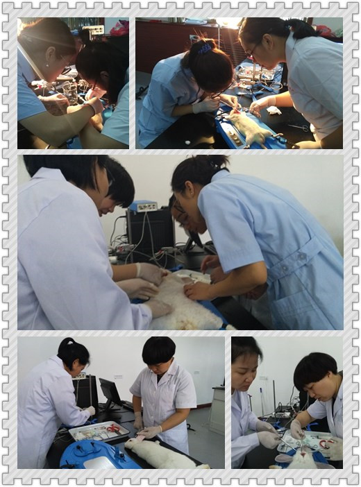 initpintu_副本.jpg initpintu_副本.jpg